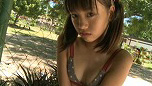 Digest Image 9