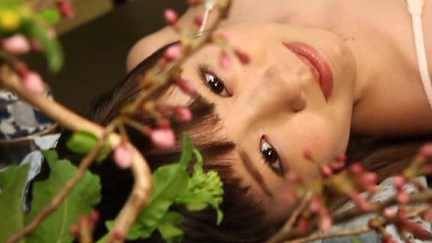 Digest Image 16