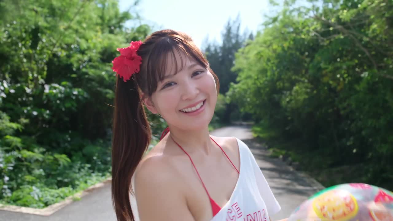 キャプチャ画像2