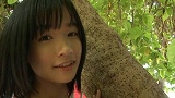 Digest Image 5