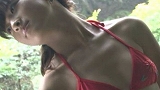 Digest Image 13