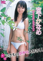 画像の説明