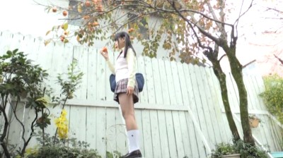Digest Image 2