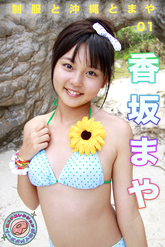 画像の説明