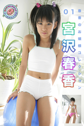 画像の説明