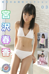 画像の説明