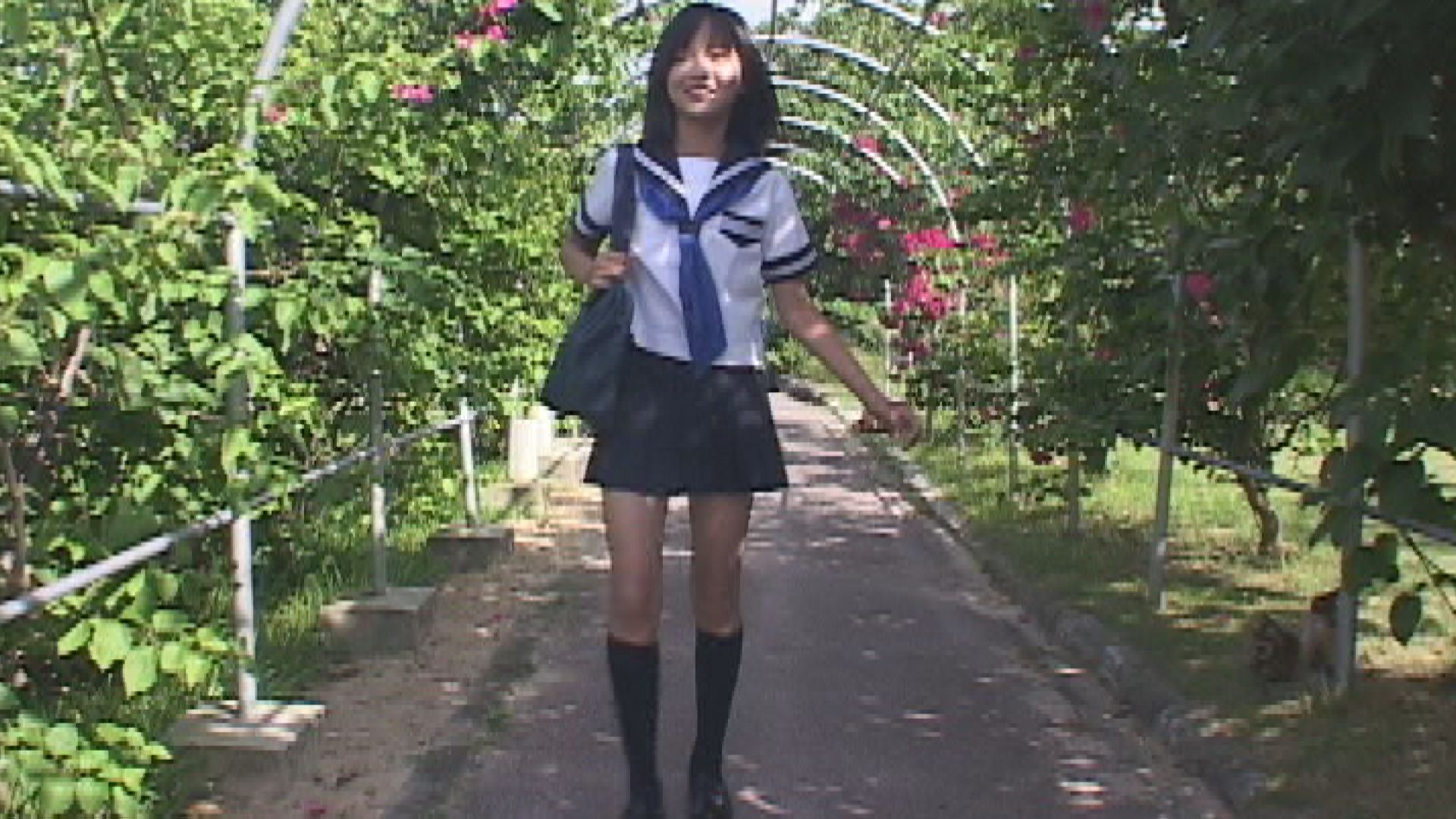 Digest Image 8